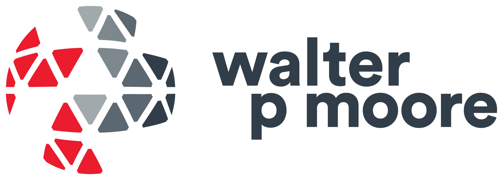 Walter P Moore